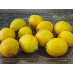 Citron jaune x3