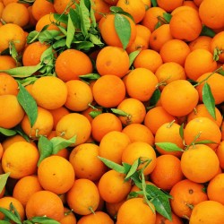 Oranges 4 pièces